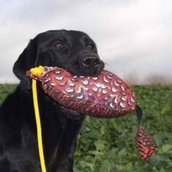 Dummy fugl med fasanprint large